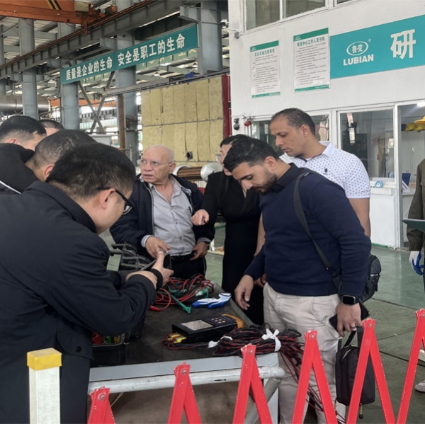 魯變電工股份有限公司